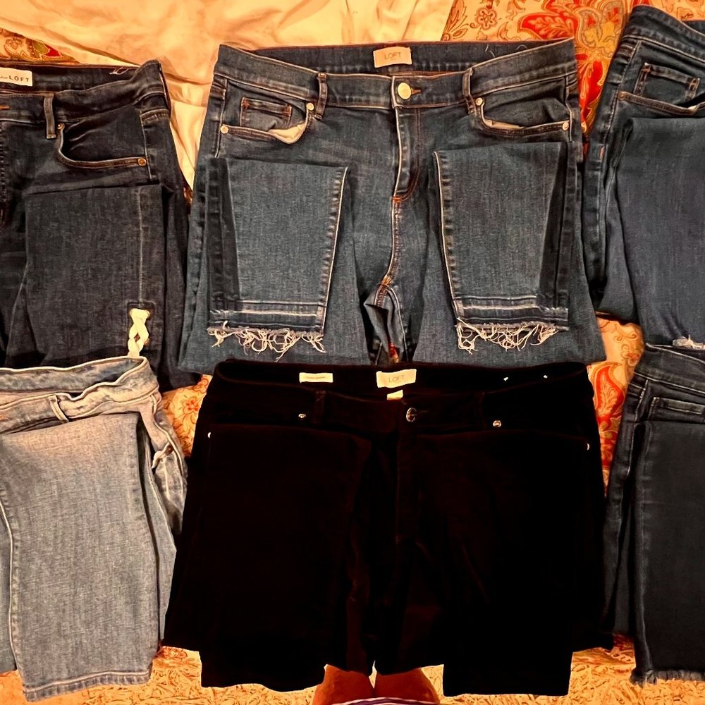 Ann Taylor Loft Jeans - Size 14 - Lot of 6 pairs